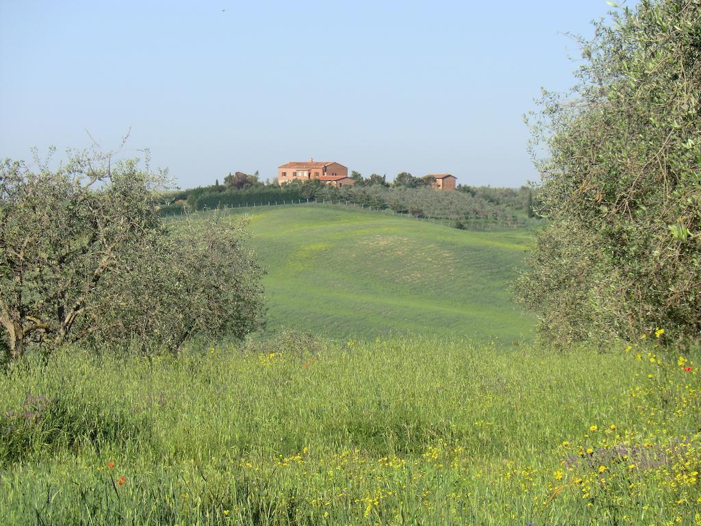 Agriturismo Podernuovo Asciano Bagian luar foto