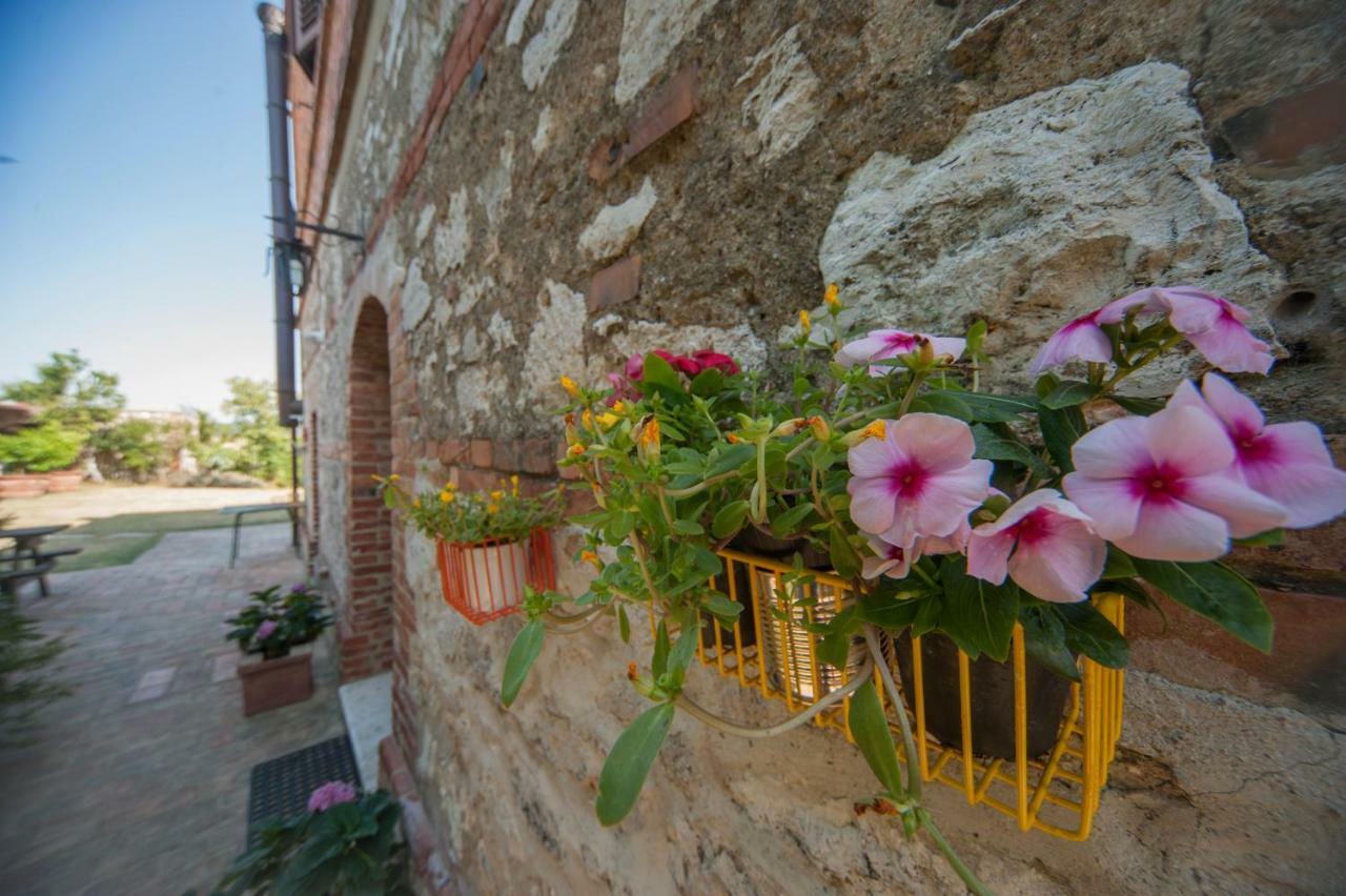 Agriturismo Podernuovo Asciano Bagian luar foto
