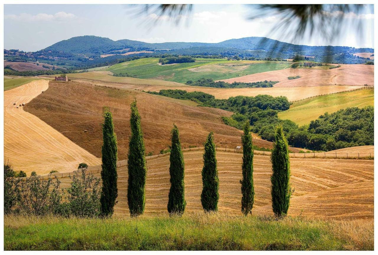 Agriturismo Podernuovo Asciano Bagian luar foto